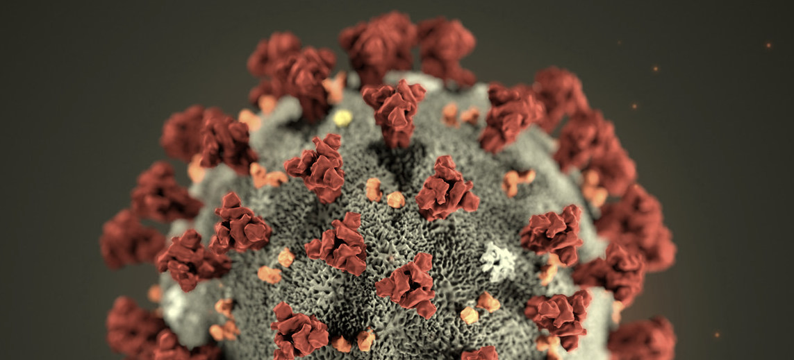The best places for advice on the virus & how to get and offer help